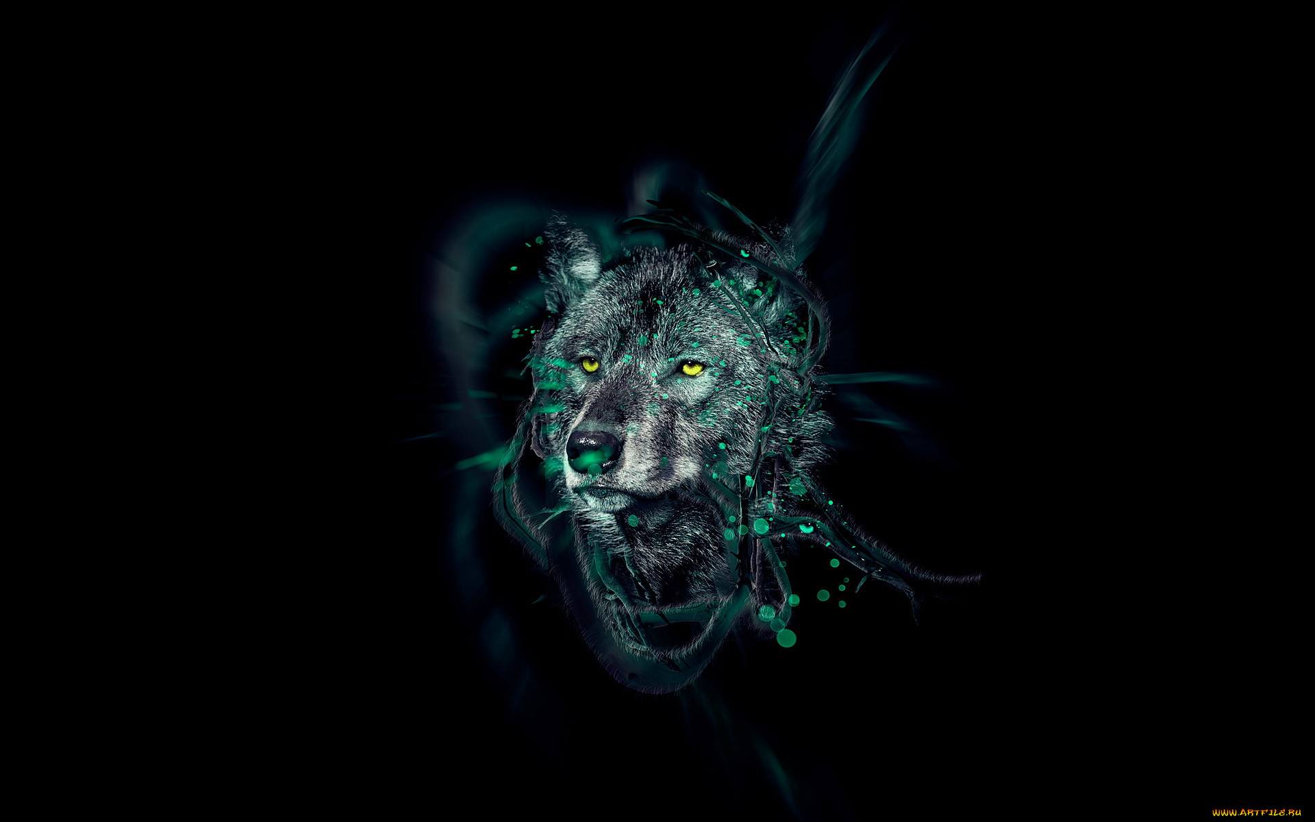 3, , animals, , 